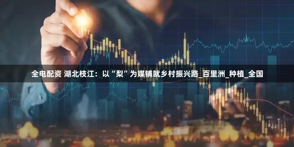 全电配资 湖北枝江：以“梨”为媒铺就乡村振兴路_百里洲_种植_全国