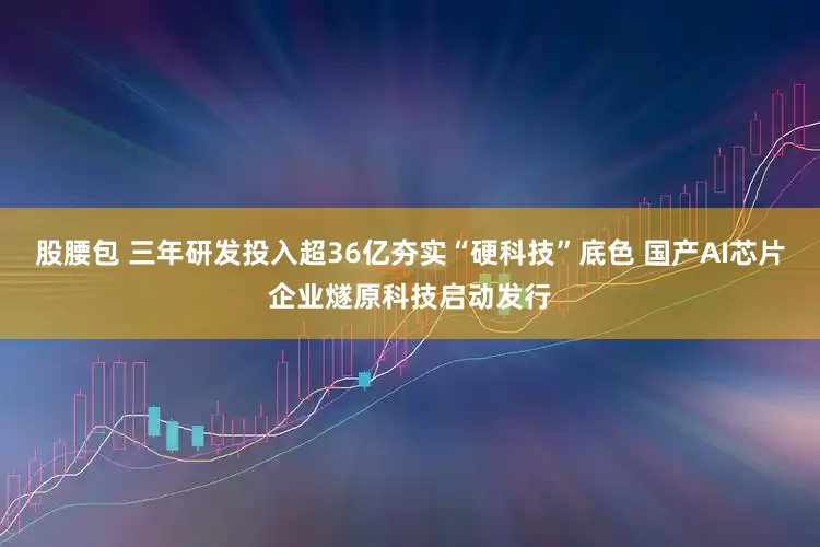 股腰包 三年研发投入超36亿夯实“硬科技”底色 国产AI芯片企业燧原科技启动发行